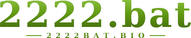 2222.bat logo
